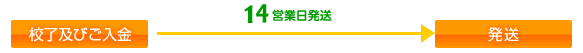 通常発送　14営業日（土日祝除く）