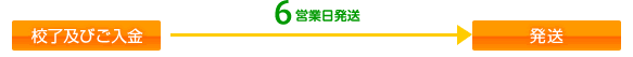 定期発送 10営業日(土日祝除く)