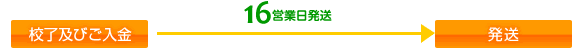 通常発送　16営業日（土日祝除く）