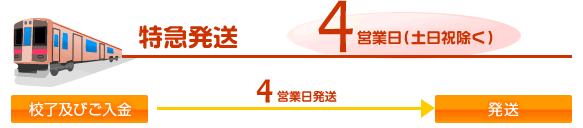 特急発送 4営業日(土日祝除く)